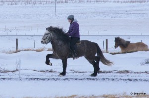 Kaldbakur Tour 2015 (19)